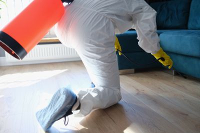 Residential Fumigation in Columbus, OH